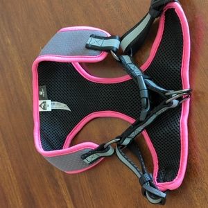 Dog harness